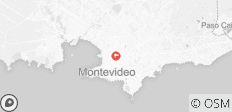  Montevideo Express - 3 Tage - 1 Destination 
