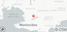  Montevideo Express - 3 days - 1 destination 