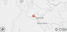  NAIROBI NATIONAL PARK SUNRISE GAME DRIVE - OPEN JEEP TOUR - 1 destination 