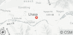  Lhasa Culturele Ervaring, Privé Tour - 1 bestemming 