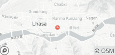  4-Day Impressive Lhasa: Potala Palace, Jokhang Temple, Drepung Monastery and Sera Monastery - 1 destination 