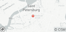  St. Petersburg Stadspakket - 4 dagen - 1 bestemming 