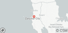  3 jours de safari abordable en Tanzanie au départ de Zanzibar - 1 destination 