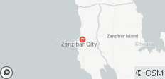  3 Days Affordable Tanzania Safari From Zanzibar - 1 destination 
