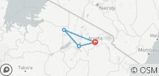  4 Days Lake Manyara, Serengeti Wildebeest Migration Lodge Safari - 4 destinations 