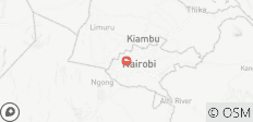  Masai Mara Gnu Wanderung 2022 - Private 4x4-Landcruiser-Jeep-Safari (3 Tage) - 1 Destination 