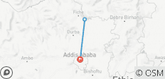  Addis abeba stadstour EnDagtrip naar het klooster van Debre Libanos - 3 bestemmingen 
