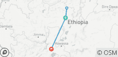  3 Tage Addis Abeba Stadtrundfahrt und Tagesausflug zum Debre Libanos Kloster und Tiya - 4 Destinationen 