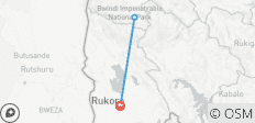  Transfert de l\'aéroport de Kisoro au parc national de Bwindi - 3 destinations 