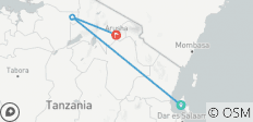  3 dagen Serengeti Fly in vanaf Zanzibar Jagen op migratie van wildebeesten en grote kattenacties - 3 bestemmingen 