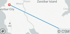  4 dagen zanzibar vakantie (alle accommodatie en vervoer zijn inbegrepen) - 3 bestemmingen 