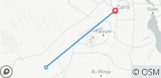  4 Dagen 3 Nachten - Van Cairo \&quot; Witte Woestijn - Zwarte Woestijn \&quot; - 3 bestemmingen 