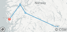  Circuito privado personalizado por el pintoresco fiordo Sognefjord de Noruega - 4 destinos 