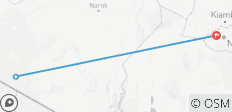  Safari aérien de 4 jours dans le Masai Mara - 3 destinations 