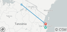  Découvrez la Tanzanie en 10 jours : Safari complet haut de gamme au départ de Dar es Salaam - 4 destinations 