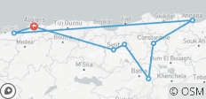  Aangepaste 8 Daagse Algerije Hoogtepunten Tour, dagelijkse start &amp; privé auto - 8 bestemmingen 