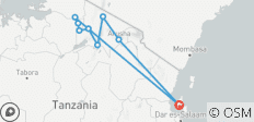  Depuis Zanzibar et le Serengeti : 15 jours de safari à la découverte du pays des grands félins - 9 destinations 