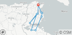  Culturele schatten en woestijnzon - het paradijs van Tunesië - 10 bestemmingen 