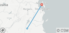  Circuit de 3 jours à Selous (parc national Nyerere) au départ de Zanzibar - 3 destinations 