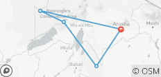  5 jours de migration des gnous - Saison de mise bas dans la région de Ndutu - 6 destinations 