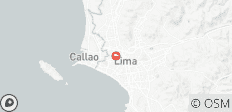  Lima City Tour, Chatedral, Convent of Santo Domingo and Larco Museum Half Day - 1 destination 