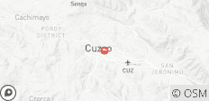  Cusco City Sightseeing &amp; Sacsayhuaman Archeological Park Half Day Tour - 1 destination 