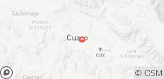  One-Way Touristic Scenic Bus from Cusco to Puno - 1 destination 