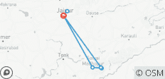  Rondreis naar Jaipur &amp; Ranthambore - 9 bestemmingen 