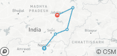  Central India Wildlife Tour - 5 destinations 