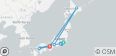  Expreso de Japón de 9 días de Tokio a Osaka（Circuito Familiar Privado ）- Umetravel - 13 destinos 