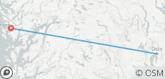  Noruega en 6 días: Oslo y Bergen en tren - 2 destinos 