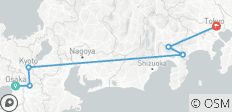  5 jours au Japon（Privé avec guide et chauffeur）- Umetravel - 6 destinations 