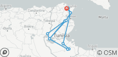  TUNISIE : Charmes berbères &amp; Oasis du désert en 8 jours - 13 destinations 