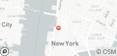  Spotlight on New York City featuring \&quot;Hamilton: An American Musical\&quot; (2025) - 1 destination 