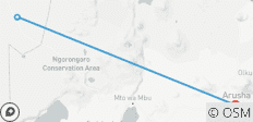  5 jours abordables Migration annuelle des gnous - 3 destinations 