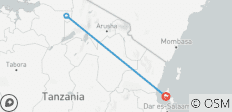  5 jours abordables pour la migration annuelle des gnous à partir de Zanzibar - 3 destinations 