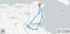  De Tunis au désert : une aventure de 3 jours - 7 destinations 