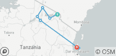  Tanzanie &amp; Zanzibar : Glamping parmi les Big Five (from Mont Kilimandjaro to Zanzibar) - 7 destinations 