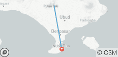  7 jours d\'aventure à Bali (guide et chauffeur privés）customizable) - 2 destinations 