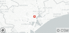  5 jours de visite des hauts lieux de Singapour (guide privé et chauffeur）Customizable - 1 destination 