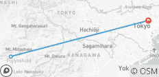  Circuito de 5 días por Japón: Tokio y el Monte Fuji - 3 destinos 
