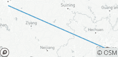 Sichuan and Chongqing Odyssey Chinese Pandas (Private Family Tour) - 2 destinations 