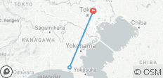  Excursion de 2 jours dans la banlieue de Tokyo : Kamakura et Enoshima : Zen, histoire et vues côtières - 3 destinations 
