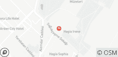  Visite quotidienne de la ville d\'Istanbul - 1 destination 