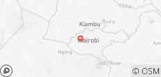  1-Day Nairobi City Tour: Elephant Orphanage &amp; Nairobi National Park - 1 destination 