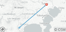  Visite relaxante de 2 jours à Hakone : Retraite dans la nature et l\'art - 3 destinations 