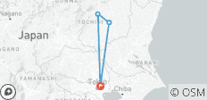  2 jours à Nikko et Kinugawa : voyage dans le patrimoine et la culture - 4 destinations 