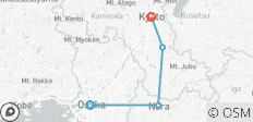  2 jours à Nara et Uji : Temples, thé et l\'esprit du Japon ancien - 4 destinations 