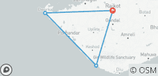  4-Days Somnath and Dwarka Tour - 4 destinations 