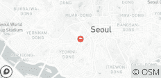  6 Days K-POP Dreams: Explore Seoul’s Trendiest Spots (private guide and driver）Family Tour - Customizable - 1 destination 